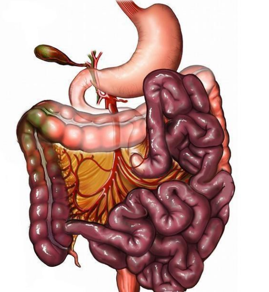 腸息肉者，排便出現(xiàn)3個異常，十有八九息肉已變成“癌”
